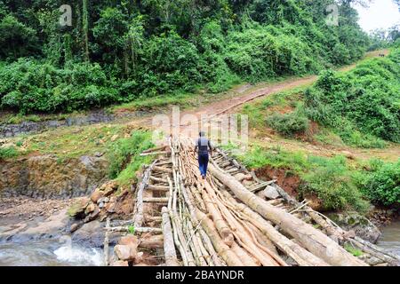 Überqueren Sie die Holzbrücke im Wildcaffewald Mankira in der Region Kaffa in Äthiopien.