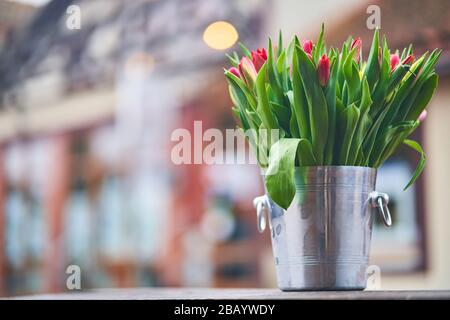 Blumenstrauß mit Tulpen in einem eisernen Eimer. Natürliche Blumen. Stockfoto