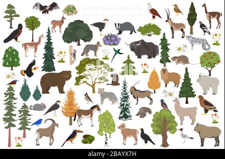 Montane Waldbiome, naturnahe Infografik. Weltkarte für terrestrisches Ökosystem. Designset für Tiere, Vögel und Vegetationen im Ökosystem. Vektor illustrr Stock Vektor