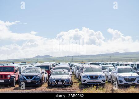 Felder ungenutzter Mietwagen in Maui, Hawaii während der Covid-19-Pandemie. Ohne Touristen haben die zusätzlichen Autos nichts zu gehen. Stockfoto