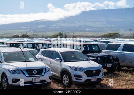 Felder ungenutzter Mietwagen in Maui, Hawaii während der Covid-19-Pandemie. Ohne Touristen haben die zusätzlichen Autos nichts zu gehen. Stockfoto