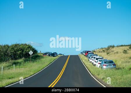 Felder ungenutzter Mietwagen in Maui, Hawaii während der Covid-19-Pandemie. Ohne Touristen haben die zusätzlichen Autos nichts zu gehen. Stockfoto