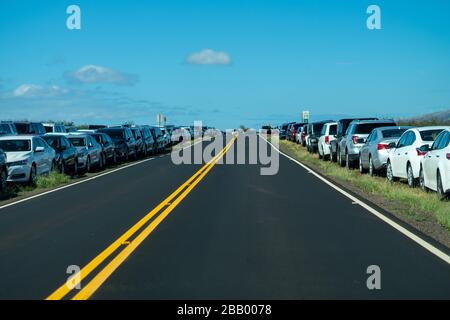 Felder ungenutzter Mietwagen in Maui, Hawaii während der Covid-19-Pandemie. Ohne Touristen haben die zusätzlichen Autos nichts zu gehen. Stockfoto