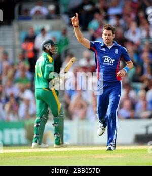 Englands James Anderson feiert die Teilnahme am Wicket von Dale Steryn in Südafrika Stockfoto