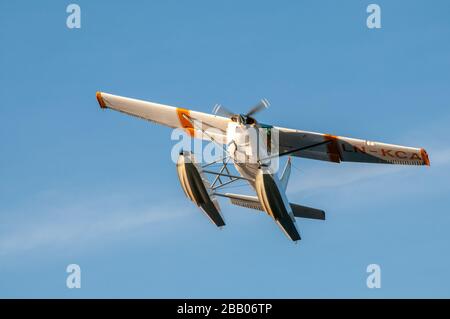 Ein gelb-weißes Wasserflugzeug Cessna 172 Skyhawk, das zwischen Inseln im Archipel Kragerø an der Südküste Norwegens abflog. Stockfoto