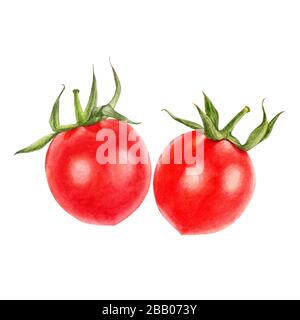 Cherry Tomatoes Aquarell isoliert auf weißem Hintergrund Stockfoto