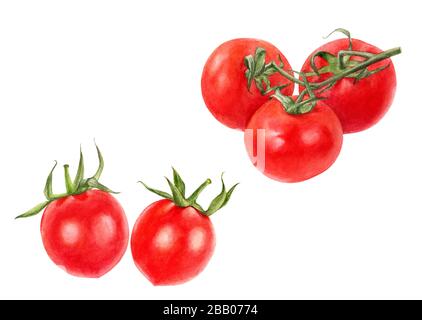 Kirschtomaten setzen auf weißem Hintergrund ein Aquarell Stockfoto