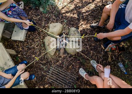 Familienwürste zum Mittagessen auf Holzstäbchen über offenem Lagerfeuer, Draufsicht, Bulgarien Stockfoto