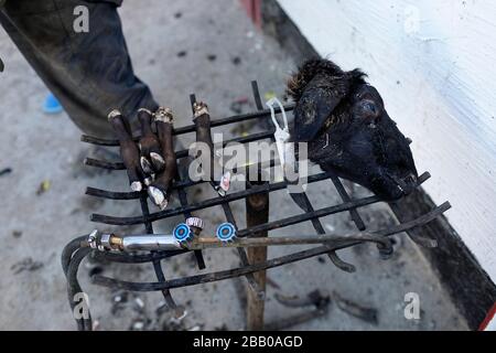 Entfernen Schafkopf und Fußhaar durch Fackelflamme, Kaspische Depression, Mangystau Region, Aktau, Kasachstan Stockfoto