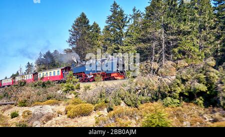 Dampflokfahrt im Wald im Harz. Dynamik durch Bewegungsunschärfe. Stockfoto