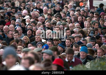 Racegoers beobachten die Aktion auf der Wetherby Racecourse Stockfoto