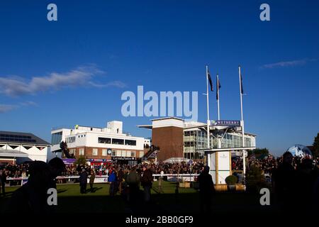 Ein allgemeiner Blick auf den Paradering auf der Wetherby Racecourse Stockfoto