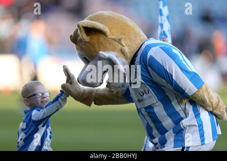 Huddersfield Town Maskottchen Terry The Terrier High fives einen jungen Fan Stockfoto