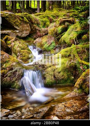 Willst du y Blymbren im Elan-Tal Stockfoto