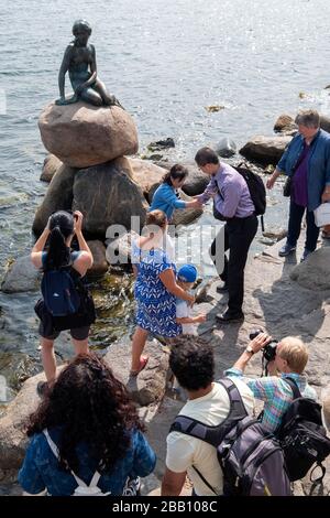 Die Statue der kleinen Meerjungfrau in Kopenhagen, Dänemark, Europa Stockfoto