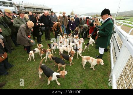 Ein Blick auf die Bagles auf dem Rasen der Mitglieder vor der Arkle-Tribüne auf der Cheltenham Racecourse Stockfoto