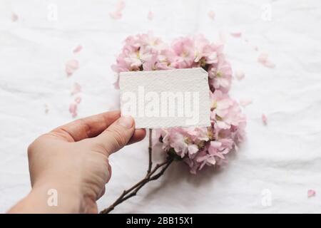 Frühling feminine Hochzeitstapier-Szene. Nahaufnahme der Frau Hand mit leerer Baumwollpapierkarte, defokussiertem Hintergrund mit rosa blühendem cher Stockfoto
