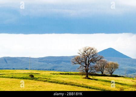 Ländliche lansdscape in der Region Umbrien - Italien Stockfoto