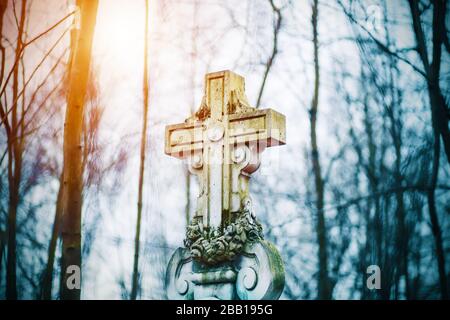 Ein altes elegantes Steingrabkreuz auf dem Friedhof unter den dünnen Baumstämmen, beleuchtet von Licht. Stockfoto
