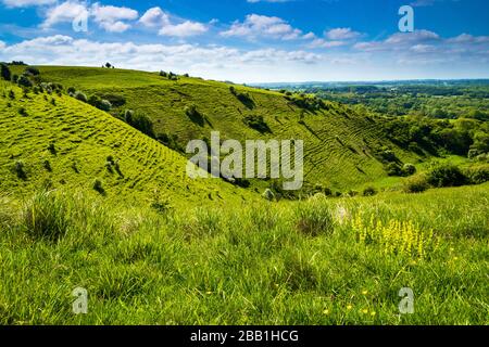 Ein Spaziergang durch den Norden in Kent im Mai vom Dorf Wye mit Blick auf die Teufelsknohle Stockfoto