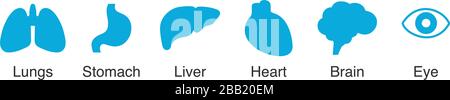 Blaues Symbol für menschliche Organe. Lungen, Magen, Leber, Herz, Gehirn und Augen. Darstellung des Stock-Vektors isoliert auf weiß Stock Vektor