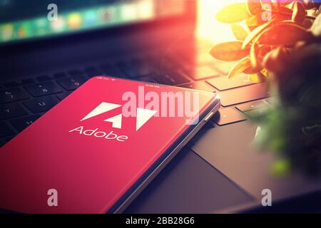 Adobe Systems Logo auf dem Smartphone-Bildschirm. Adobe ist ein multinationales Softwareunternehmen, das Multimedia- und Kreativitätssoftware produziert und verkauft. 3D-Rendering. KIEW, UKRAINE - JANUAR 2020 Stockfoto