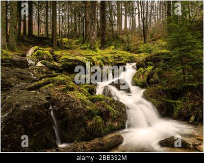 Willst du y Blymbren im Elan-Tal Stockfoto