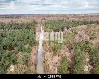 Luftdrone schoss, von einem Wald mit Fluss oder Kanal, der im frühen Frühjahr durchläuft. Ort: Antankgracht Kapellen. Kreative Bearbeitung. Stockfoto