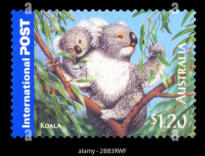 AUSTRALIEN - CIRCA 2005: Stempel, gedruckt von Australien, zeigt Bush Wildlife, Koala, ca. 2005 Stockfoto