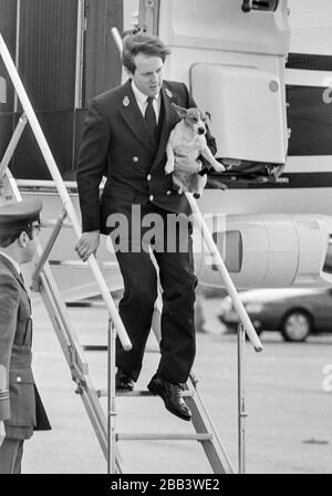 Prinz Charles Prince of Wales, der mit seinem Haustier Jack Russell Hund Tigger am Londoner Flughafen Heathrow an Bord des Königin-Königsflugs im April 1988 ankam. Stockfoto