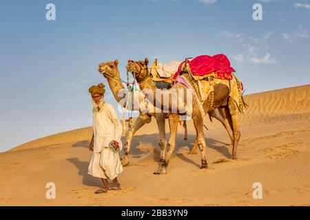 Ein alter Mann mit seinem Kamele, Wüste Thar, Rajasthan, Indien Stockfoto