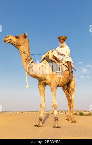 Ein alter Mann mit seinem Kamele, Wüste Thar, Rajasthan, Indien Stockfoto