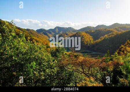 Die Berge und Wälder oberhalb der Stadt Toyooka Japan Toyooka (Toyooka-shi) ist eine Stadt im nördlichen Teil der Präfektur Hyogo, Japan. Die Stadt Stockfoto