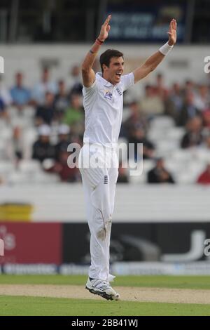 Englands Steven Finn feiert das Wicket von Südafrikas Alviro Petersen nur, damit er auf Empfehlung wieder eingesetzt wird Stockfoto