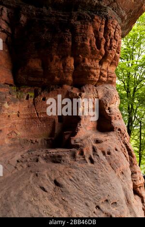 Auf dem Wanderpfad Eifelsteig in der Eifel Stockfoto