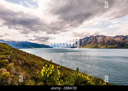 Blick auf den Lake Hawea, Otago, Neuseeland Stockfoto