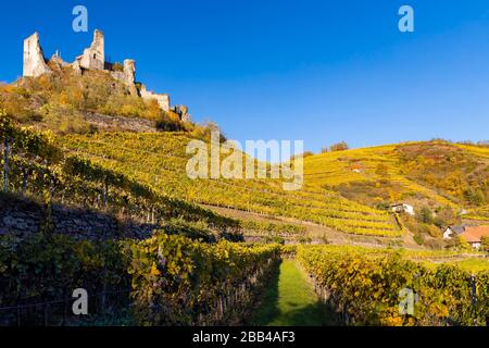 Ruinen von Senftenberg, Bezirk Krems-Land, Oberösterreich, Österreich Stockfoto