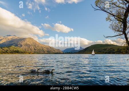 See von Lake Hayes im Wakatipu Basin in Central Otago, Südinsel in Neuseeland Stockfoto