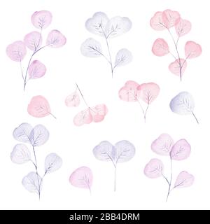 Pastellrosa und hellblaue Blätter und Zweige in Aquarell. Handgemalte Blumenillustration isoliert auf weißem Hintergrund. Stockfoto