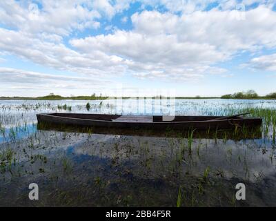 Biebrza-Nationalpark Polen entspringen Rückwässer des Biebrza-Flusses Stockfoto