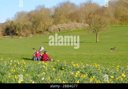 Eine Woche landesweiter Lockdown: Tag 1 des landesweiten Lockdowns eine Frau sitzt in einem lokalen Park mit Kind in South London Stockfoto