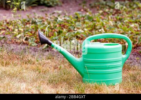 Eine grüne Kunststoff-Bewässerungskanne steht auf trockenem Gras vor dem Hintergrund von Erdbeerbetten in Unschärfe. Stockfoto