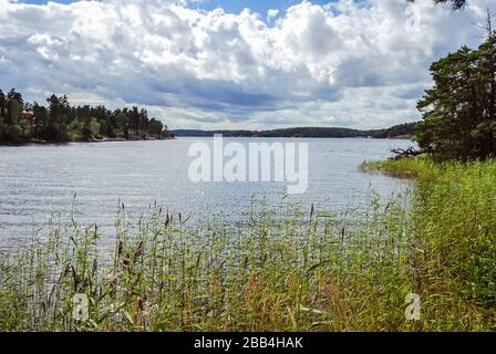 See einer Insel im Stockholmer Archipel, an einem schönen sonnigen Sommertag in Schweden Stockfoto