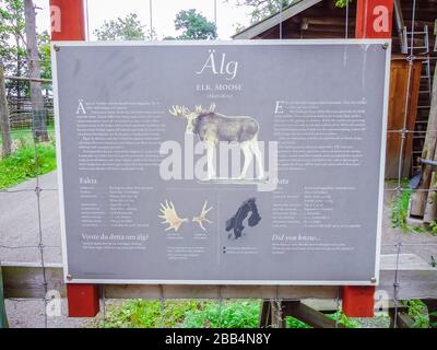Skansen djurgården Schild älg, Elch - Stockholm, Schweden Stockfoto
