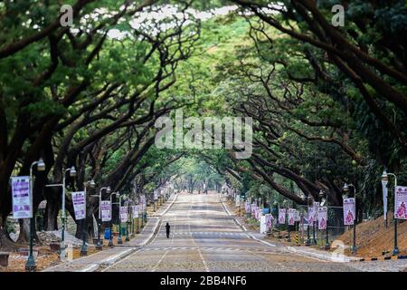 Quezon City. März 2020. Eine Frau läuft am 30. März 2020 auf einer leeren Straße innerhalb der University of the Philippines in Quezon City, den Philippinen. Credit: Rouelle Umali/Xinhua/Alamy Live News Stockfoto