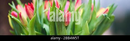 Blumenstrauß mit Tulpen in einem eisernen Eimer. Natürliche Blumen. Stockfoto