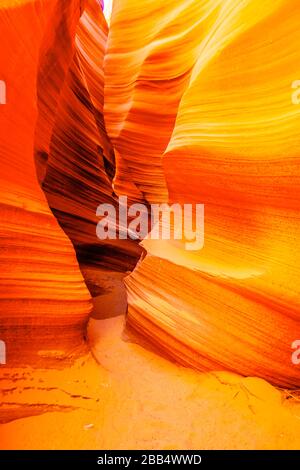 Die glatten geschwungenen Wände aus rotem Navajo-Sandstein des Rattlesnake Canyon, einer der berühmten Slot Canyons in den Navajo landet in der Nähe von Page Arizona, USA Stockfoto