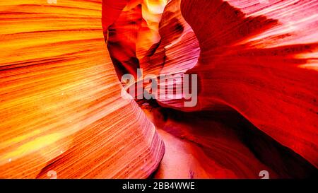 Die glatten geschwungenen Wände aus rotem Navajo-Sandstein des Rattlesnake Canyon, einer der berühmten Slot Canyons in den Navajo landet in der Nähe von Page Arizona, USA Stockfoto