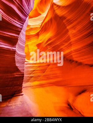 Die glatten geschwungenen Wände aus rotem Navajo-Sandstein des Rattlesnake Canyon, einer der berühmten Slot Canyons in den Navajo landet in der Nähe von Page Arizona, USA Stockfoto