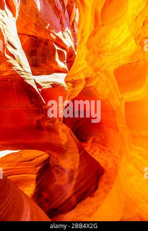 Die glatten geschwungenen Wände aus rotem Navajo-Sandstein des Rattlesnake Canyon, einer der berühmten Slot Canyons in den Navajo landet in der Nähe von Page Arizona, USA Stockfoto